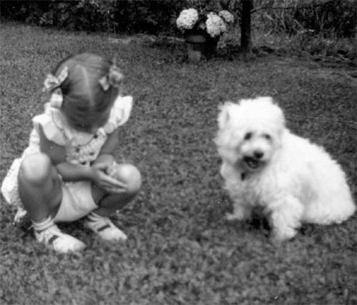 Baby and curly-haired white pupply, probably a bischon frise.
