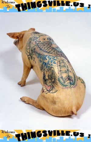 tattooed pigs