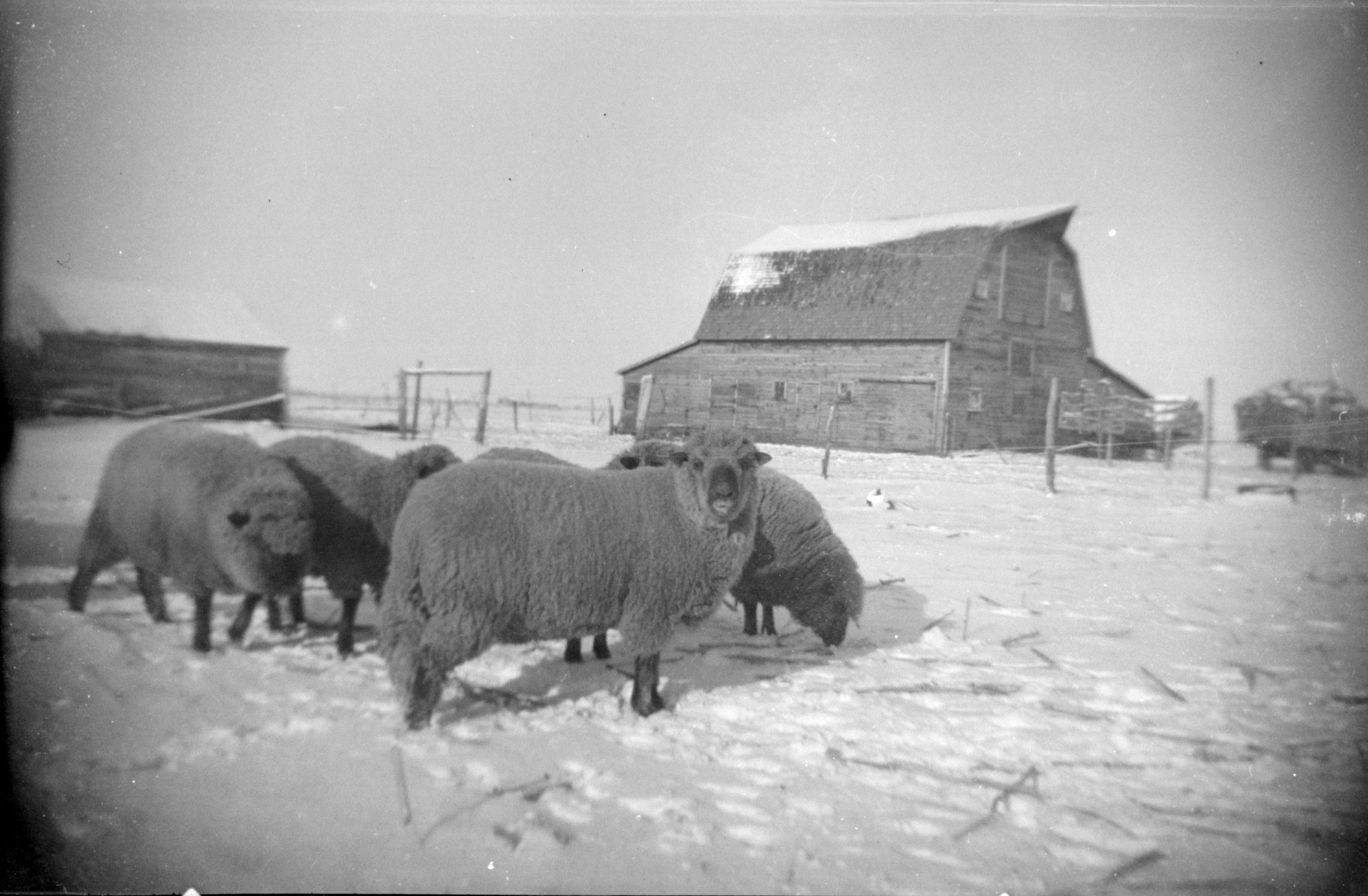 farm life 1930s
