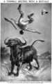 A Terrible Meeting With A Buffalo, Book of Knowledge, 1910s.jpg