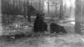 Black-Bears-In-A-Wooded-Cage-Area-1930s.jpg