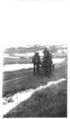 Horse-team-and-cart-in-winter-1930s.jpg