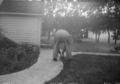 Antique-Shop-Negatives-2 -Person-Butt-Bending-Over-Pulling-Weeds-By-Garage.jpg