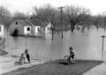 Flooded Polk Street, Grand Forks, ND, 1950.jpg