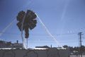 4H Float - Large Shamrock On Pole.jpg