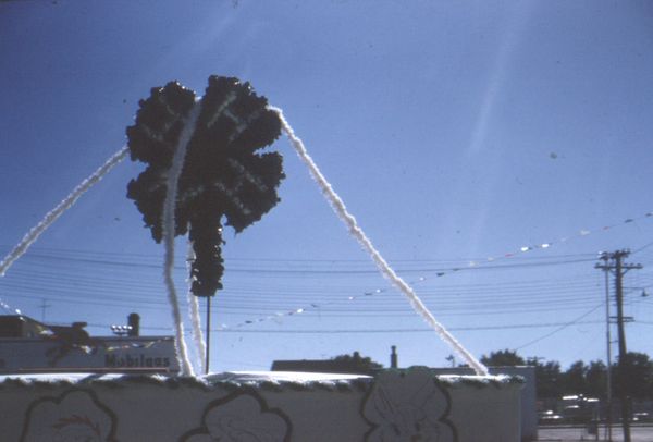 4H Float - Large Shamrock On Pole.jpg