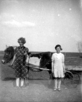 Girls-and-pony-cart.jpg