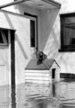 Dog On Top Of Flooded Doghouse. 1950 Red River Flood, Grand Forks.jpg