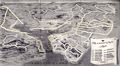 Really See San Francisco-Gray Lines 1953.jpg