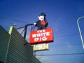 White Pig, Mondovi WI, near photo.jpg