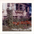 South-side-of-house-flower-garden-1960s.jpg