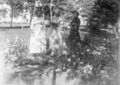 Three-older-ladies-picking-flowers-in-the-garden-1900s.jpg